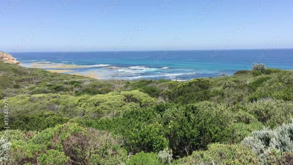 Rocks and vegetation along Great Ocean Road. Rocks and vegetation along Great Ocean Road.