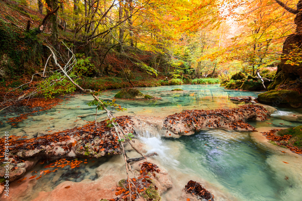 colorful autumn landscape at urederra source, Spain colorful autumn landscape at urederra source, Spain