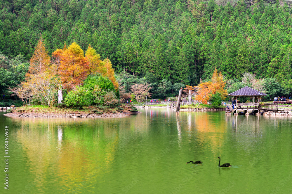 mingchi forest recreation area in yilan, taiwan
