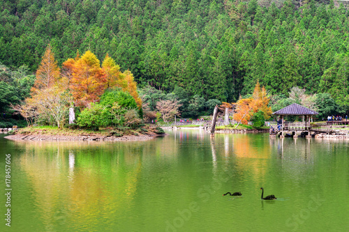mingchi forest recreation area in yilan, taiwan photo
