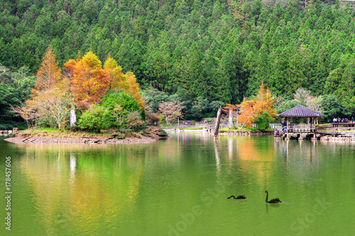 Obraz na płótnie mingchi forest recreation area in yilan, taiwan w salonie