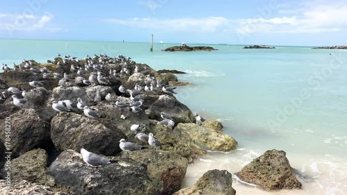 Fort Zachary beach on a sunny day. Key West is a major Florida attraction. photo