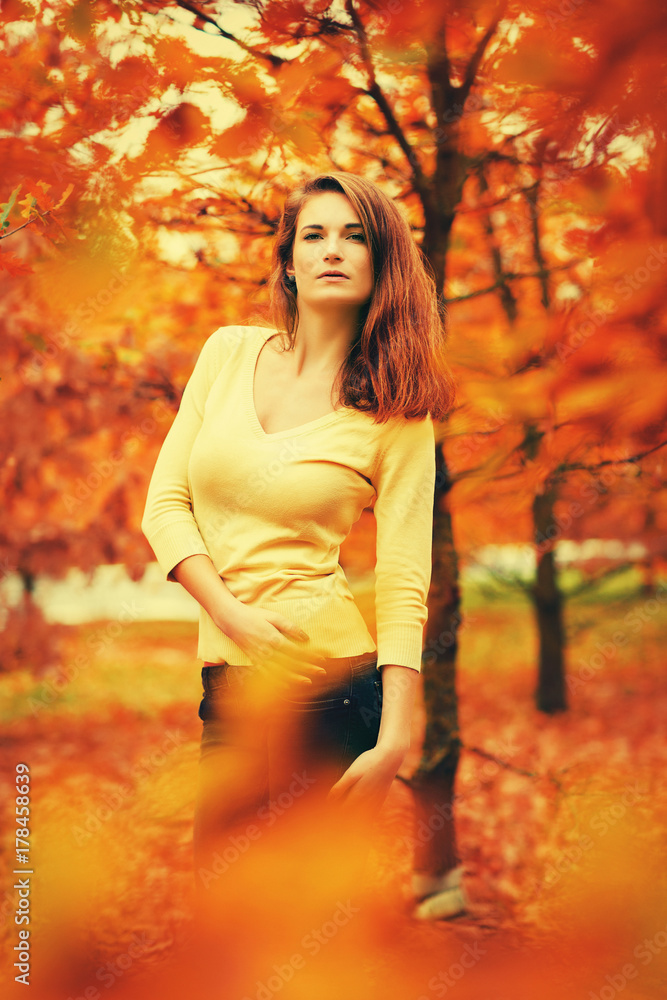 attractive girl pose in autumn colorful nature attractive girl pose in autumn colorful nature