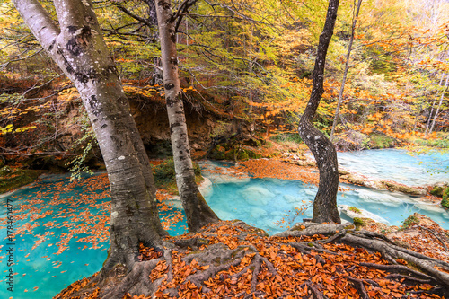 Fototapeta Naklejka Na Ścianę i Meble -  colorful autumn landscape at urederra source, Spain