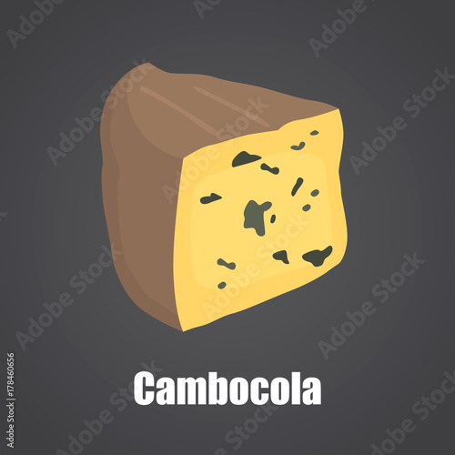 Cambocola cheese slice color flat icon photo