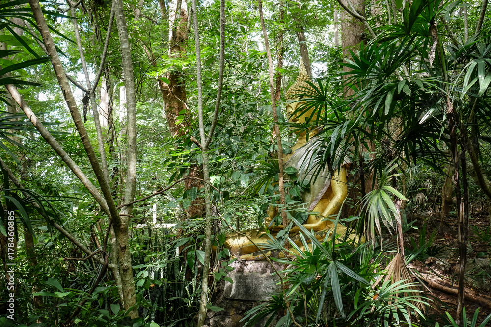 Naklejka premium Buddha statue in forest, deep meditation in jungle, peace and nature