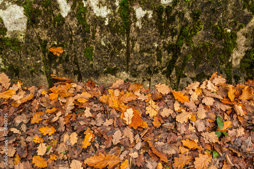 Autumn leaves and stone rock background texture