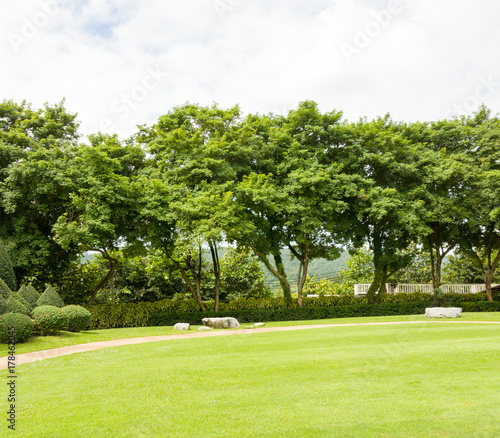 green field with trees and white clouds background 