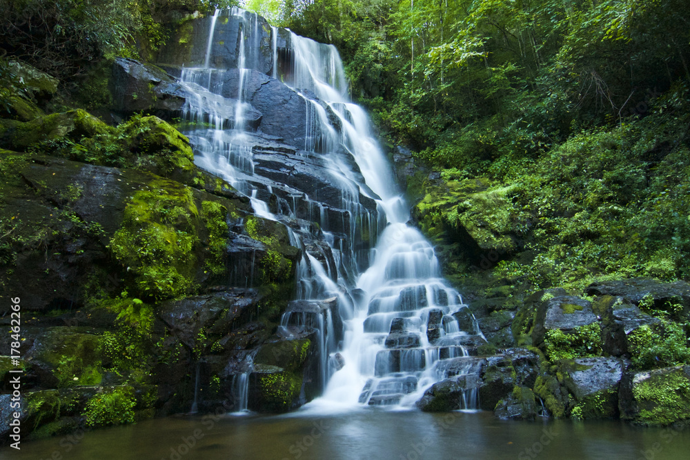 Fototapeta premium Eastatoe Waterfall 