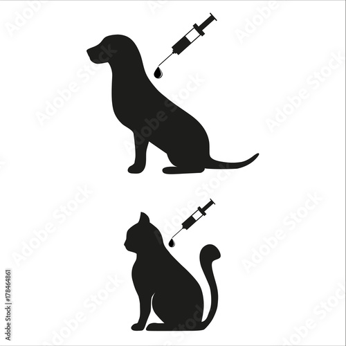 vaccination of a dog and a cat on a white background