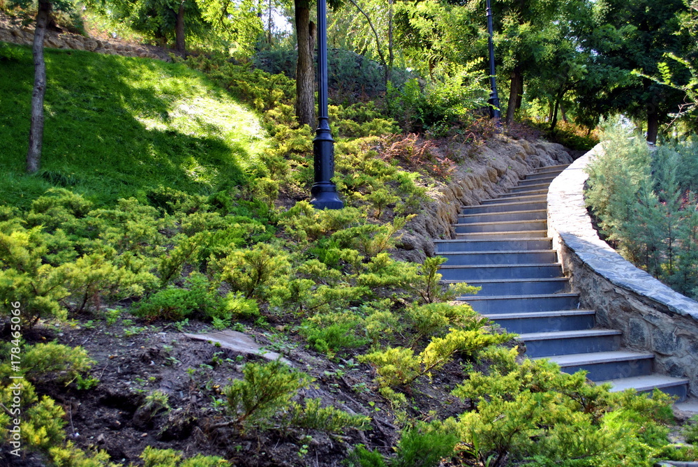 Fototapeta premium green garden with stone steps