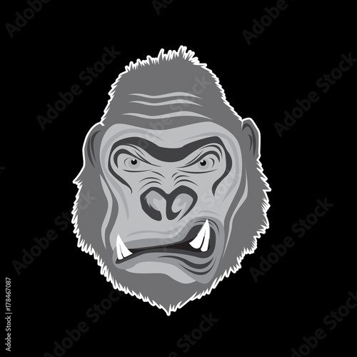 head monkey vector illustration