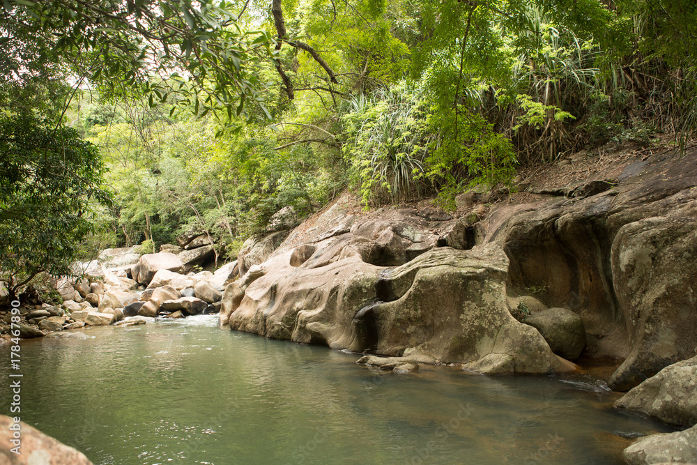 Φωτογραφία the jungle landscape of tropical turquoise lake