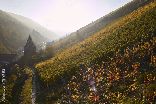 Bacharach mit Steeger Tor im Herbst photo