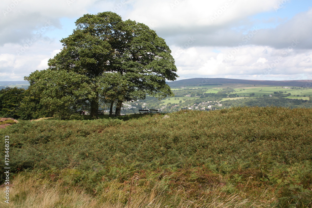 Obraz premium Ilkley in August