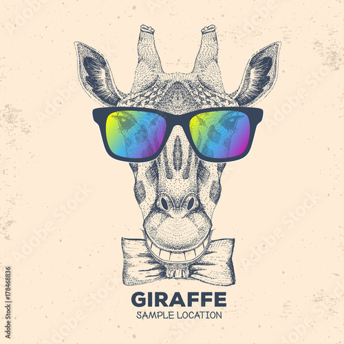 Hipster animal giraffe. Hand drawing Muzzle of giraffe
