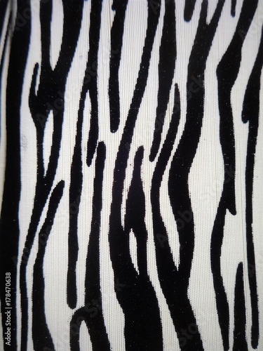 Zebra print background
