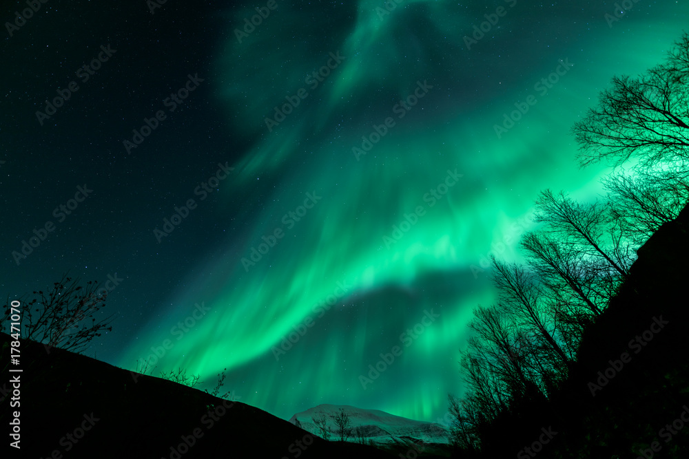 Amazing Aurora Borealis in North Norway above Tromsdalstinden mountain, Tromso City,
