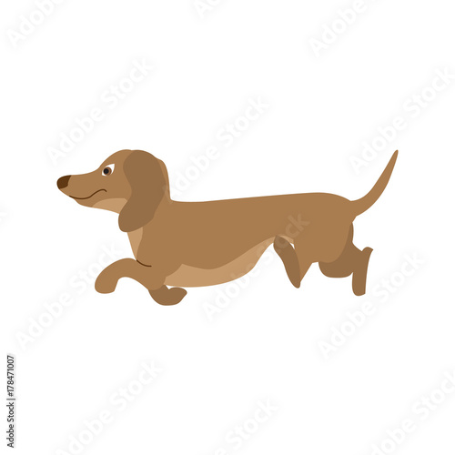 Dog Dachshund  vector illustration in cartoon style