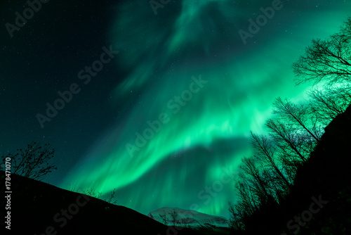 Amazing Aurora Borealis in North Norway above Tromsdalstinden mountain  Tromso City 