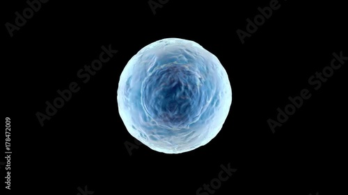 3D rendered Animation of a morphing, single biological Cell.
