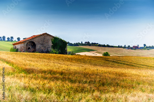 Campo di grano biondo con casolare