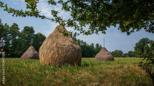 Schoberlandschaft im Spreewald photo