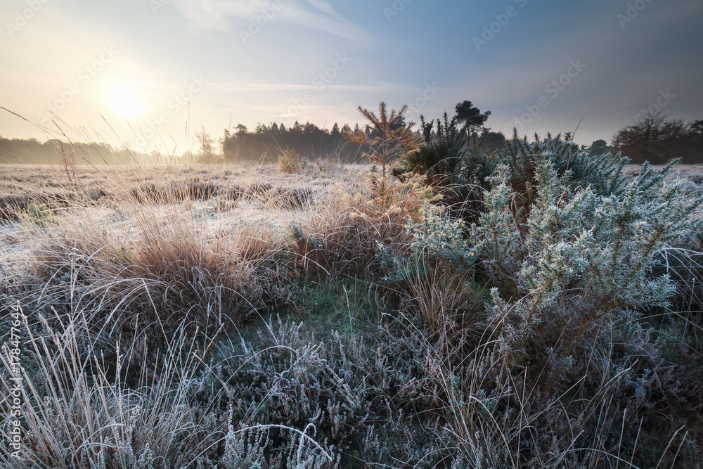 autumn sunrise over frosted meadow autumn sunrise over frosted meadow