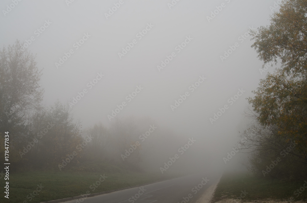 Road in the fog