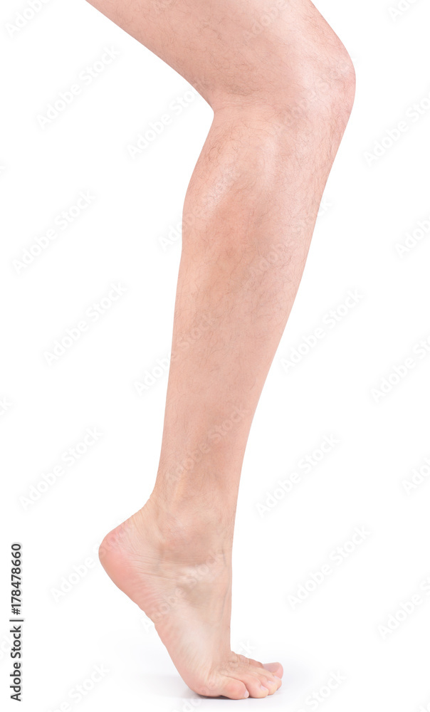 legs legs
