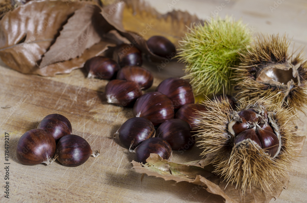 chestnuts and autumn feeling, view of chestnuts and autumn leaves. chestnuts and autumn feeling, view of chestnuts and autumn leaves.