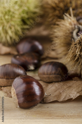 chestnut and autumn feeling, close up of a chestnut over a wooden table. 