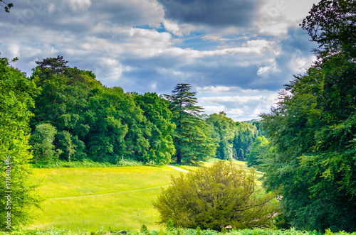 Φωτογραφία A forest glade in summer under cloudy sky in West Sussex, England