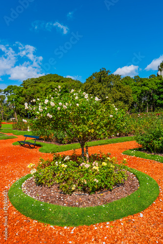 Garden of roses in Palermo district, Buenos Aires, Argentina © neurobite