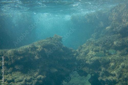 Underwater photo in the mediterenian © amotz