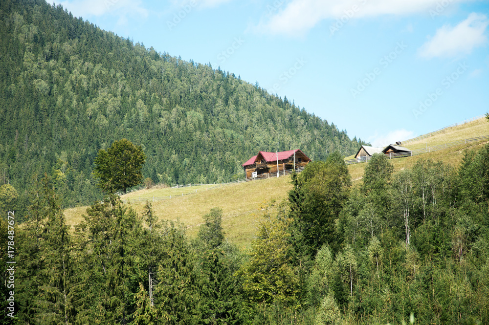 Carpathian mountains summer landscape with green hills and wooden fence, vintage hipster amazing background