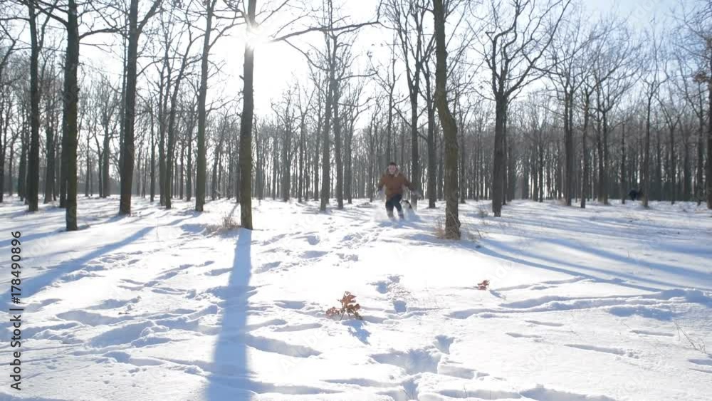 man playing with siberian husky dog in snowy park man playing with siberian husky dog in snowy park