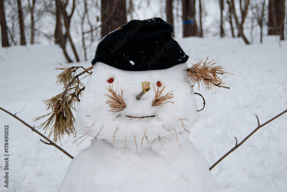 Snowman in a winter forest - Christmas entertainment
