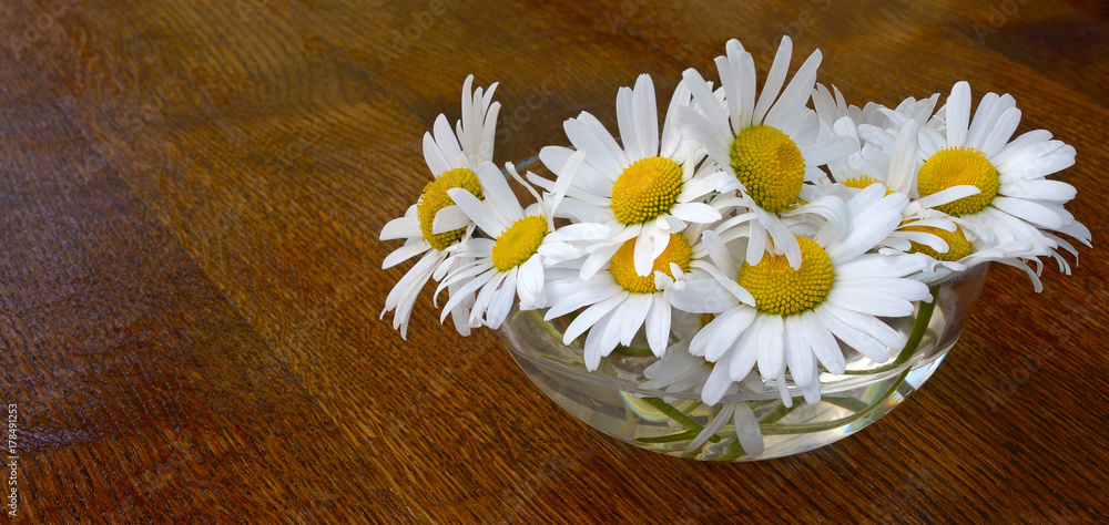 Obraz premium Daisy bowl table