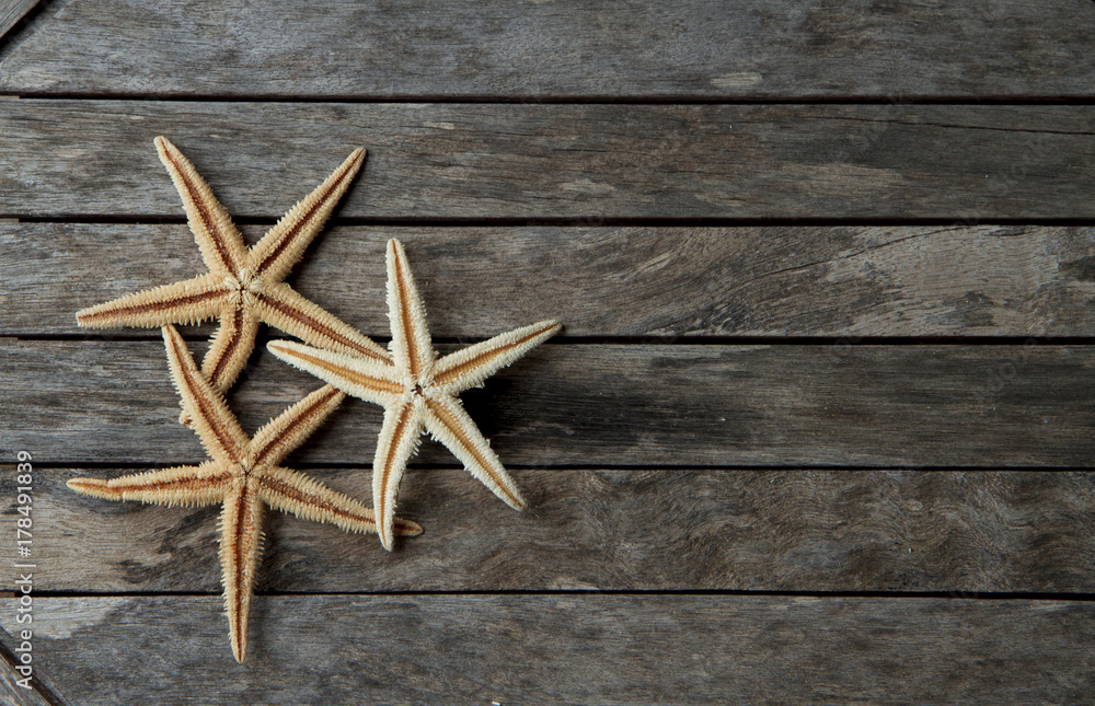 starfish in wooden background 2 starfish in wooden background 2