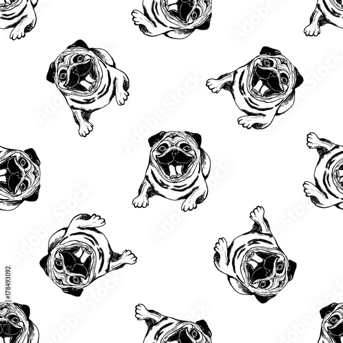Seamless pattern of hand drawn sketch style pugs. Vector illustration isolated on white background.