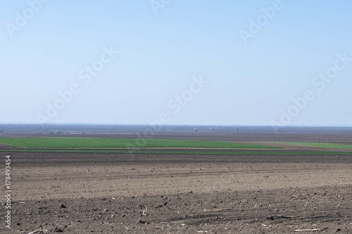 agriculture landscape