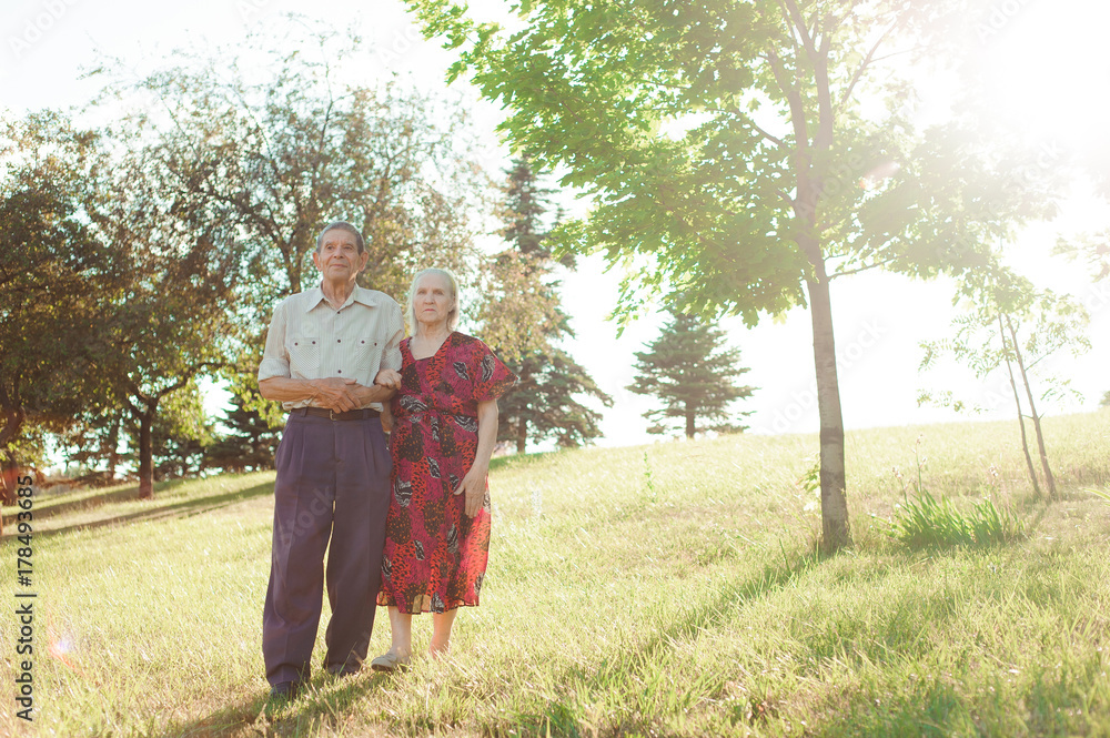 Nice elderly couple in a summer park