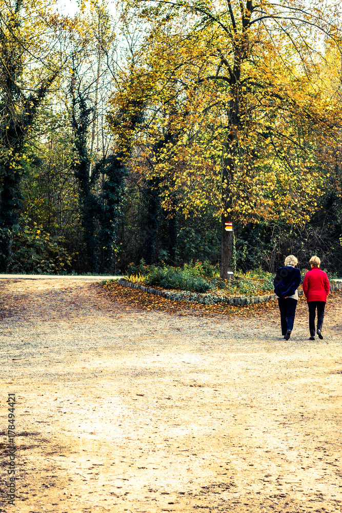 older women going for a walk older women going for a walk