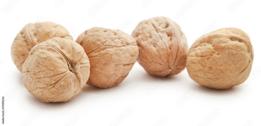 Walnut