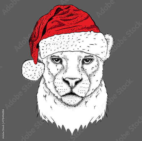 The christmas poster with the image leopard portrait in Santa's hat. Vector illustration.
