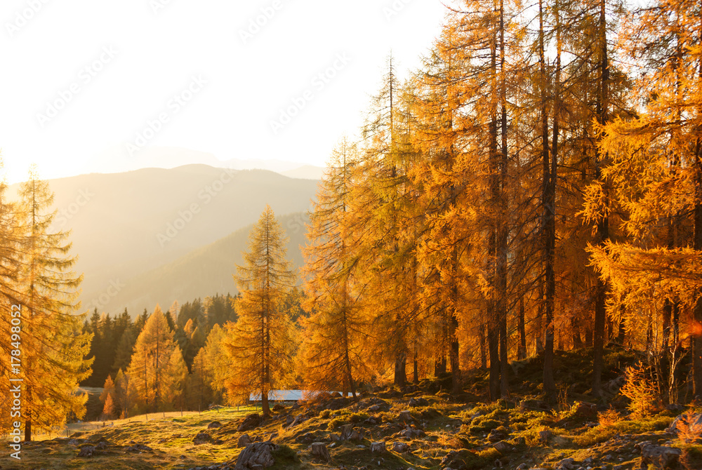 Fototapeta premium Amazing autumn landscape