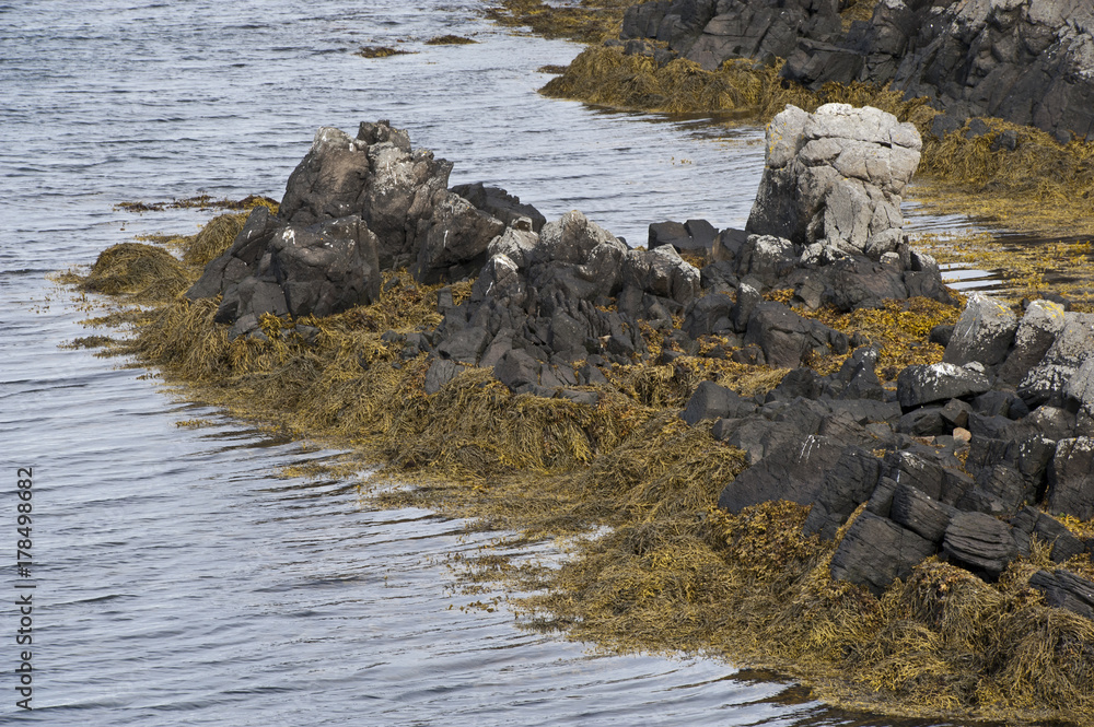 Coast in a typical Icelandic landscape Vatnsnes Peninsula, a wild nature of rocks and shrubs, rivers and lakes. Coast in a typical Icelandic landscape Vatnsnes Peninsula, a wild nature of rocks and shrubs, rivers and lakes.