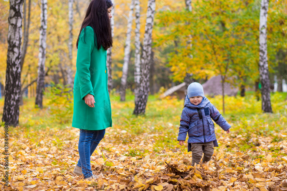 Mother with little son stands and smiles in park on background of colorful autumn fallen leaves Mother with little son stands and smiles in park on background of colorful autumn fallen leaves