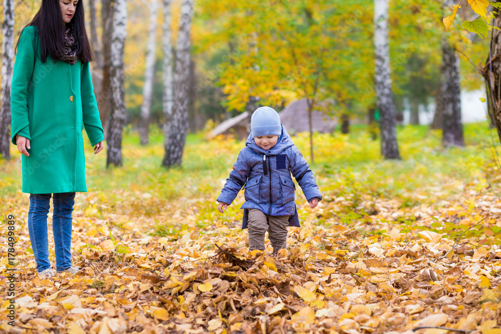 Mother with little son stands and smiles in park on background of colorful autumn fallen leaves Mother with little son stands and smiles in park on background of colorful autumn fallen leaves